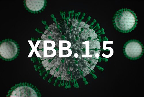 Die Omikron-Sublinie XBB.1.5 in Deutschland ist weiter angestiegen Die Omikron-Sublinie XBB.1.5 in Deutschland ist weiter angestiegen