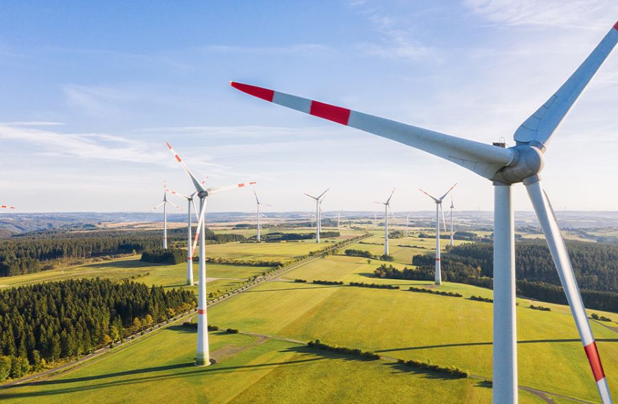 Nabu sieht den Artenschutz beim Ausbau der Windenergie in Deutschland nicht genügend berücksichtigt Nabu sieht den Artenschutz beim Ausbau der Windenergie in Deutschland nicht genügend berücksichtigt