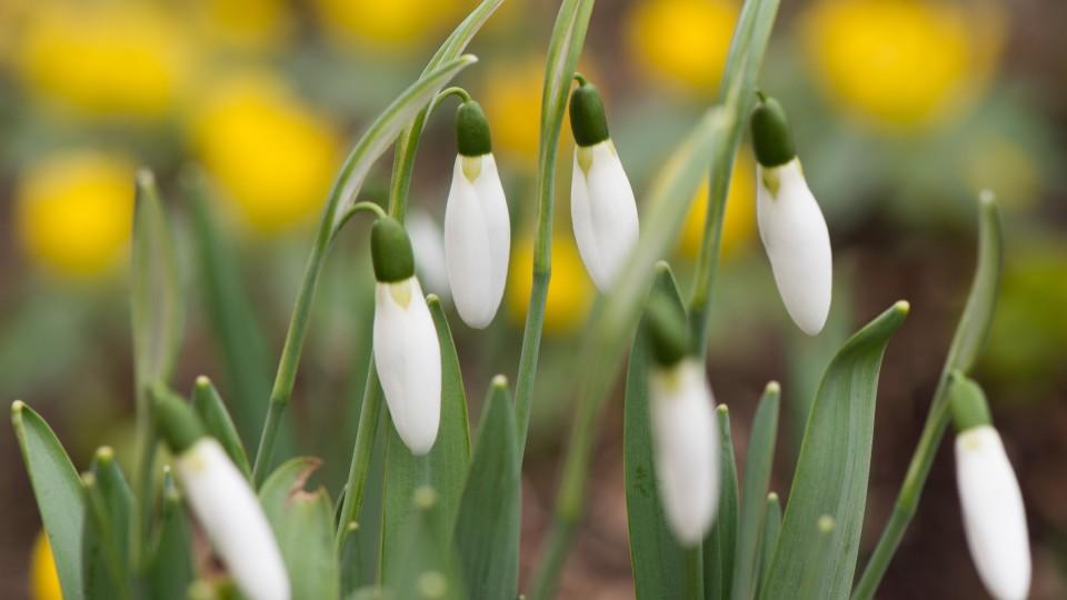 Deutscher Wetterdienst: Aprilwetter schon Ende März Deutscher Wetterdienst: Aprilwetter schon Ende März