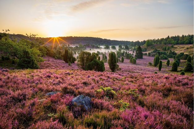 Osterurlauber haben gute Chancen Unterkünfte in Niedersachsen zu finden Osterurlauber haben gute Chancen Unterkünfte in Niedersachsen zu finden