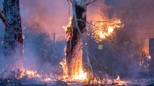 Brandenburg hat seinen ersten größeren Waldbrand der Saison Brandenburg hat seinen ersten größeren Waldbrand der Saison