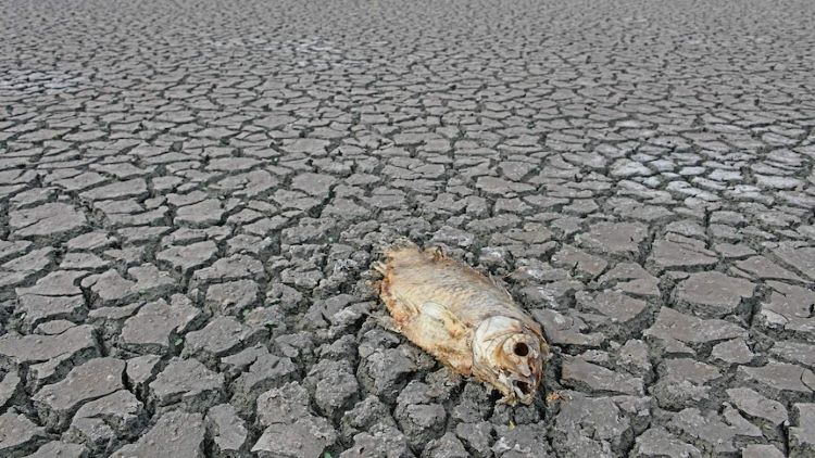 Das Wetterphänomen El Nino verheißt nichts Gutes Das Wetterphänomen El Nino verheißt nichts Gutes