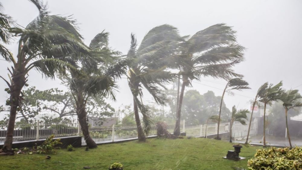 Japan bereitet sich auf den herannahenden Tropensturm vor