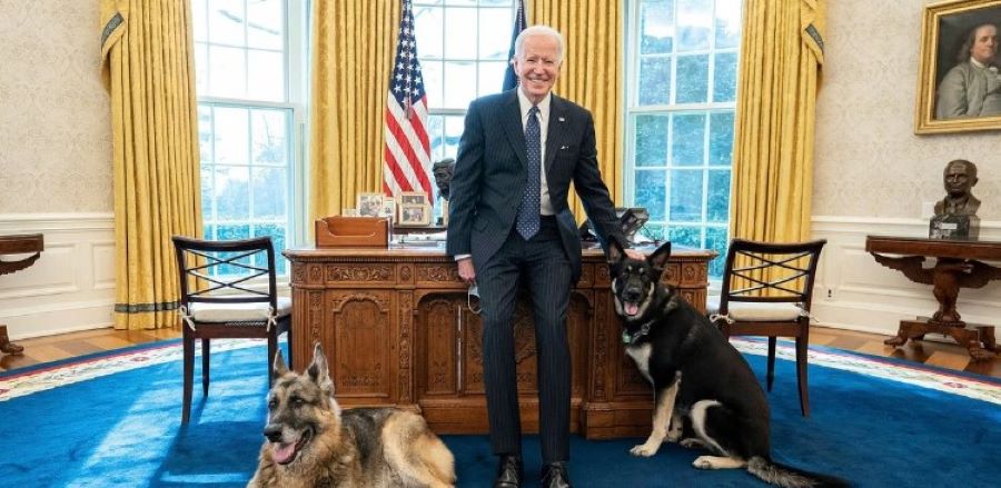 Biden hat Probleme mit seinem äußert rüden Deutschen Schäferhund