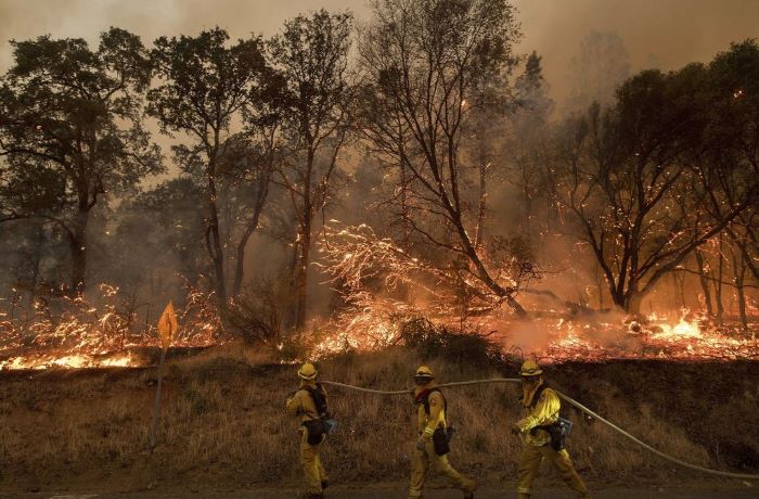 Zehntausende müssen vor den Flammen fliehen - Waldbrände in Kanada wüten weiter