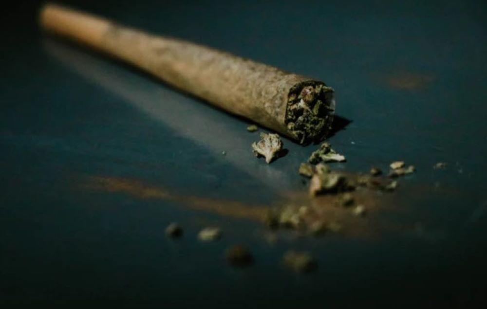 Bundesregierung bringt Cannabis-Legalisierung in Deutschland auf den Weg