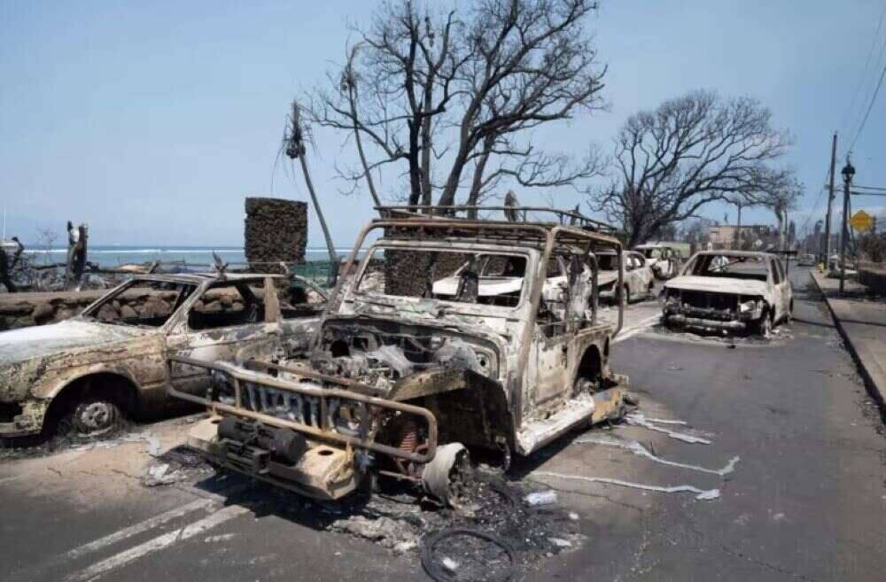 Brände auf Hawaii: Zahl der Todesopfer steigt auf 67