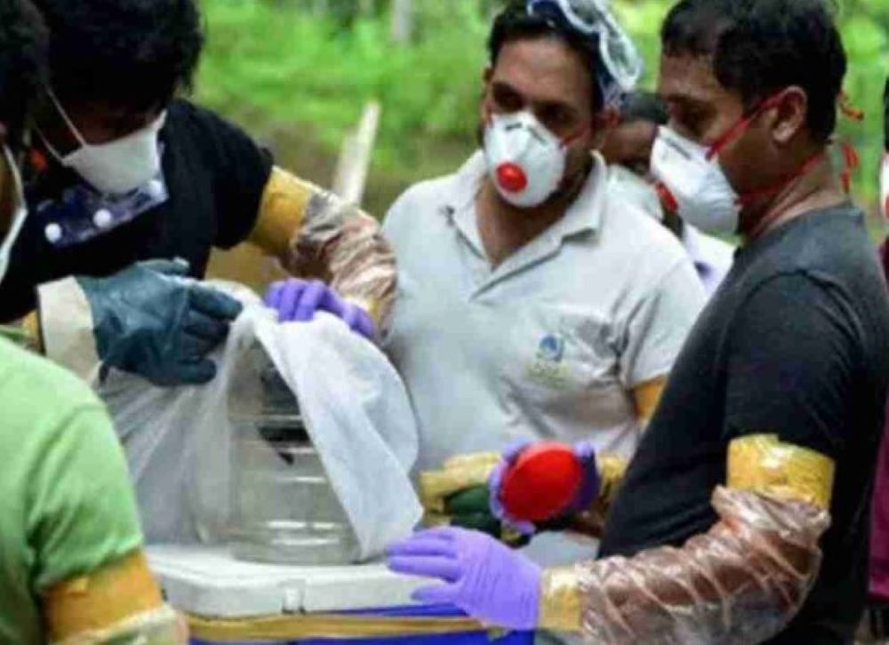 Indien kämpft darum das tödliche Nipah-Virus einzudämmen Indien kämpft darum das tödliche Nipah-Virus einzudämmen