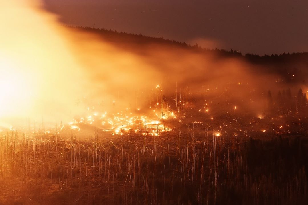 Ein gewaltiger Waldbrand im Nordosten Griechenlands lässt allmählich nach
