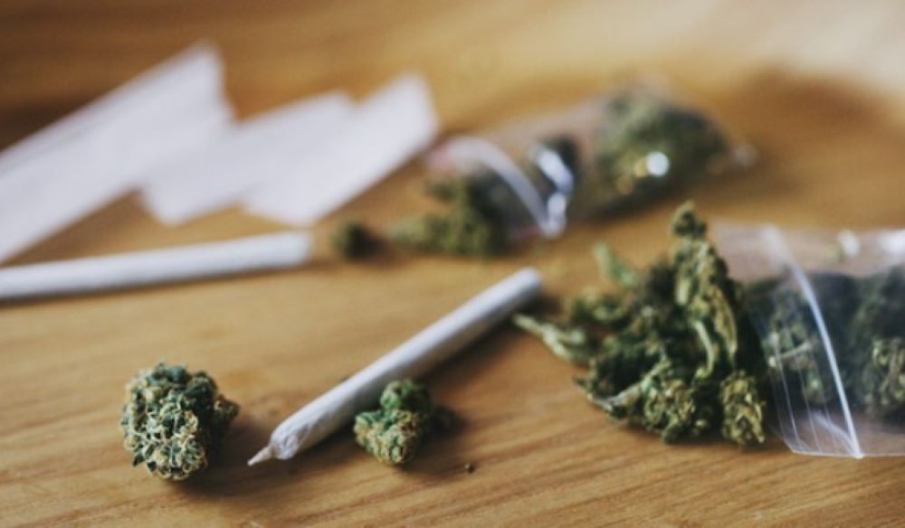 Cannabis: Legale Besitzmenge im Eigenanbau wird verdoppelt