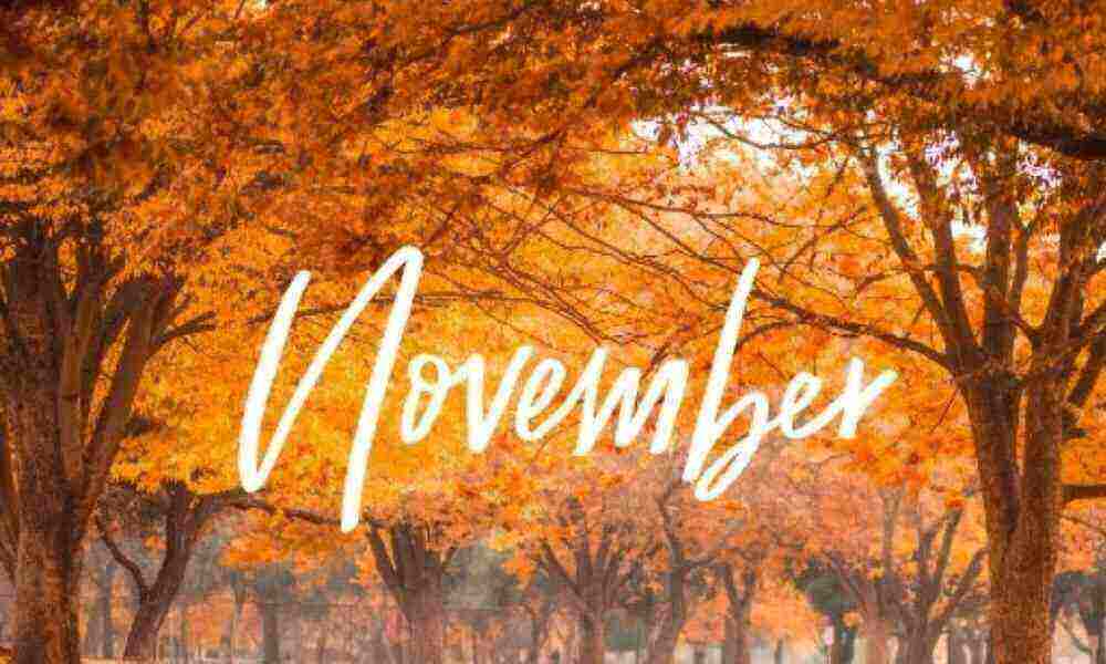Zuwanderung, Ausweis, Autoversicherung - Das ändert sich im November