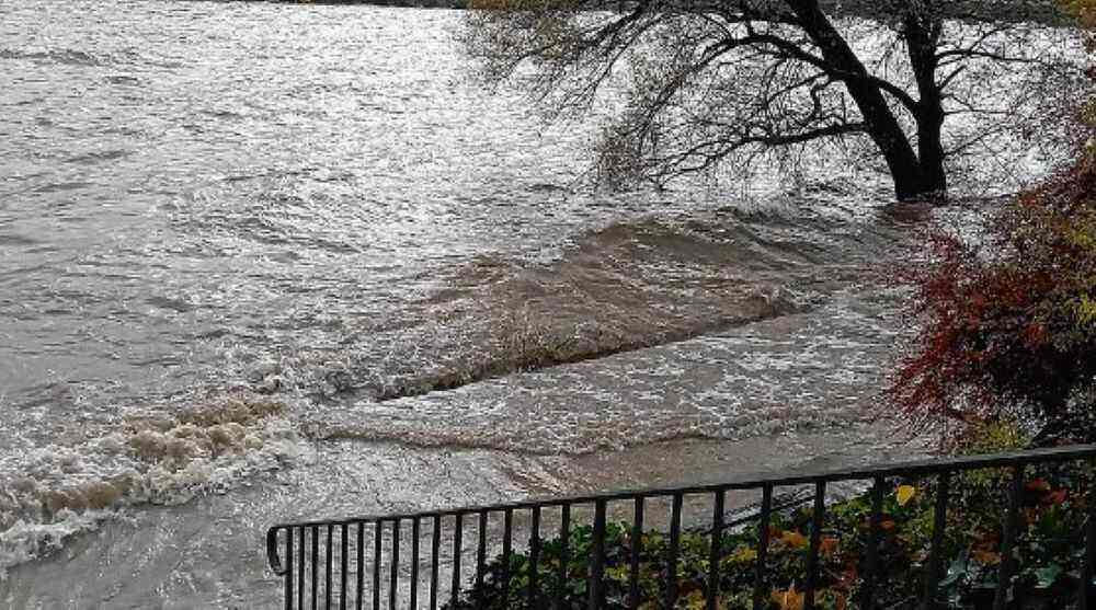 Hochwasser: Vor allem Rhein und Donau betroffen Hochwasser: Vor allem Rhein und Donau betroffen