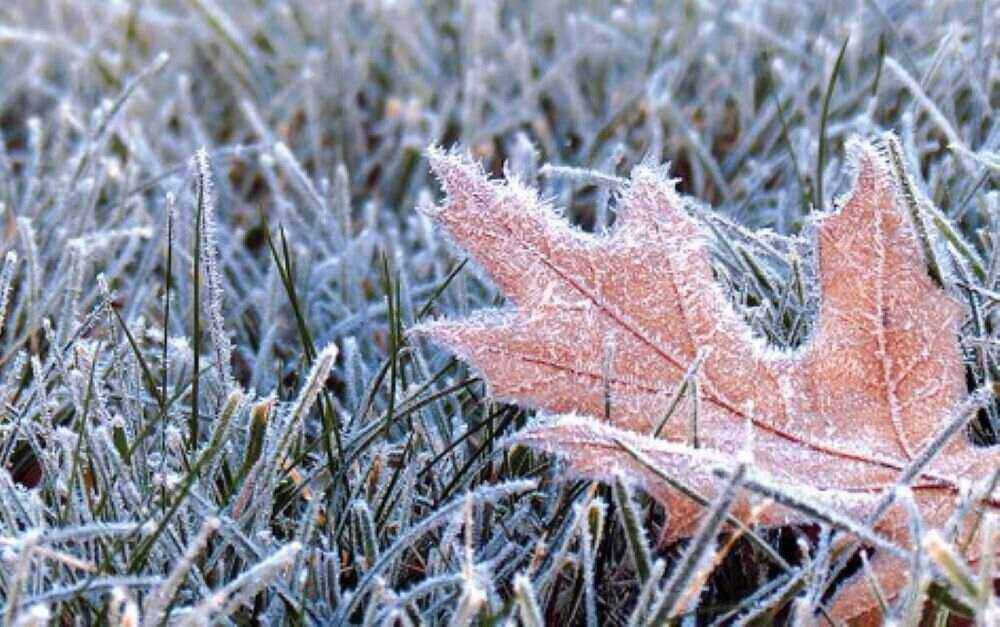 Eisige Kälte in Deutschland: Die Temperaturen fallen bis zu -15 Grad ab