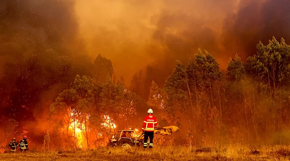 Waldbrände in Chile - Über 300 Menschen werden immer noch vermisst