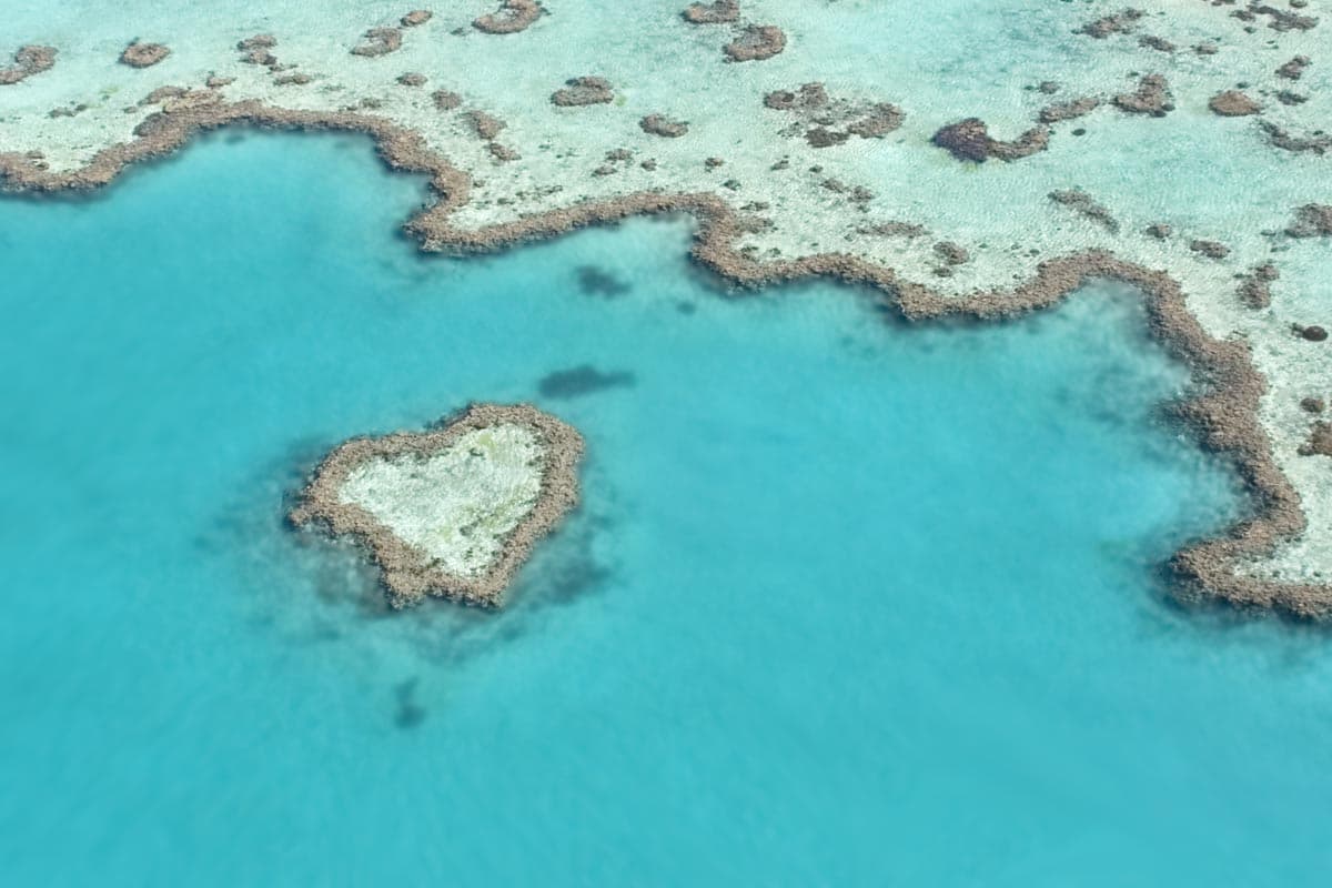 Am Great Barrier Reef ist eine massive Korallenbleiche im Gange