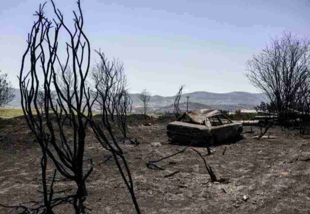 Waldbrandgefahr in Griechenland - Behörden haben landesweit die zweithöchste Waldbrand-Warnstufe ausgerufen