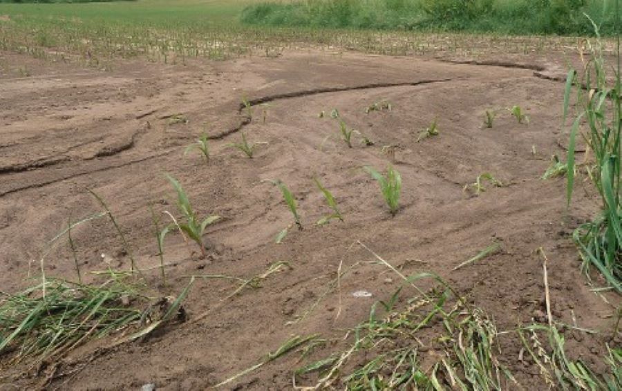 Existenzbedrohung durch Hochwasser: Bayerns Landwirte in Not